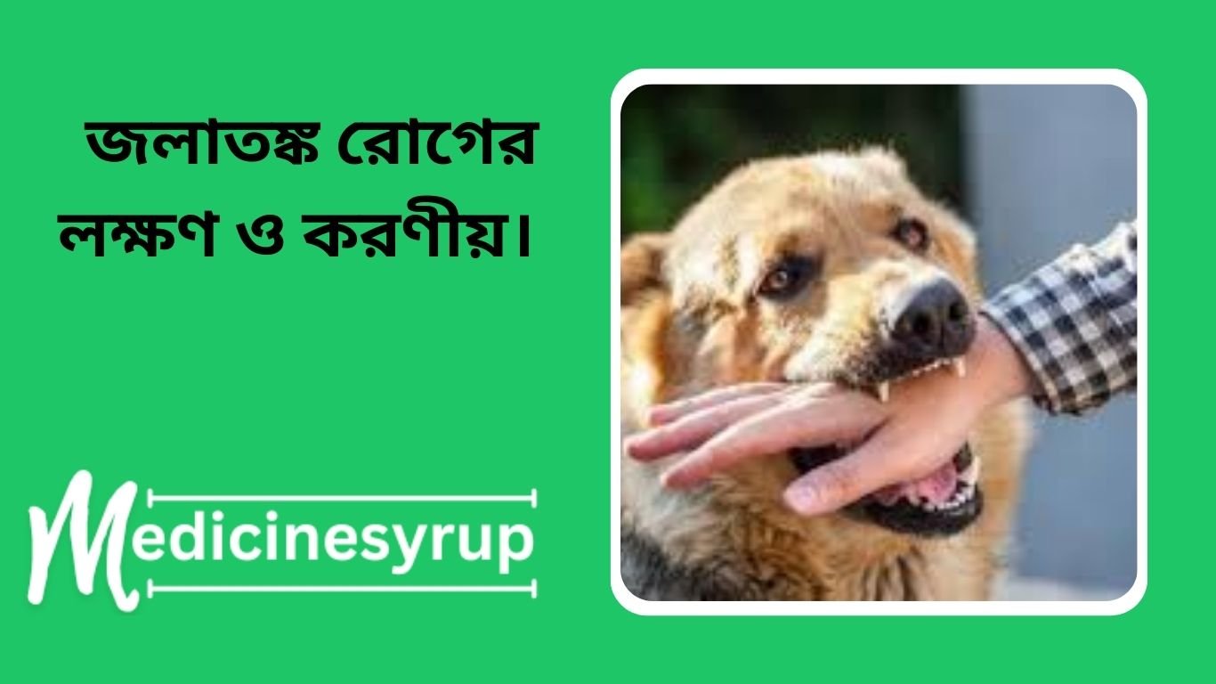 জলাতঙ্ক রোগের লক্ষণ ও করণীয়।