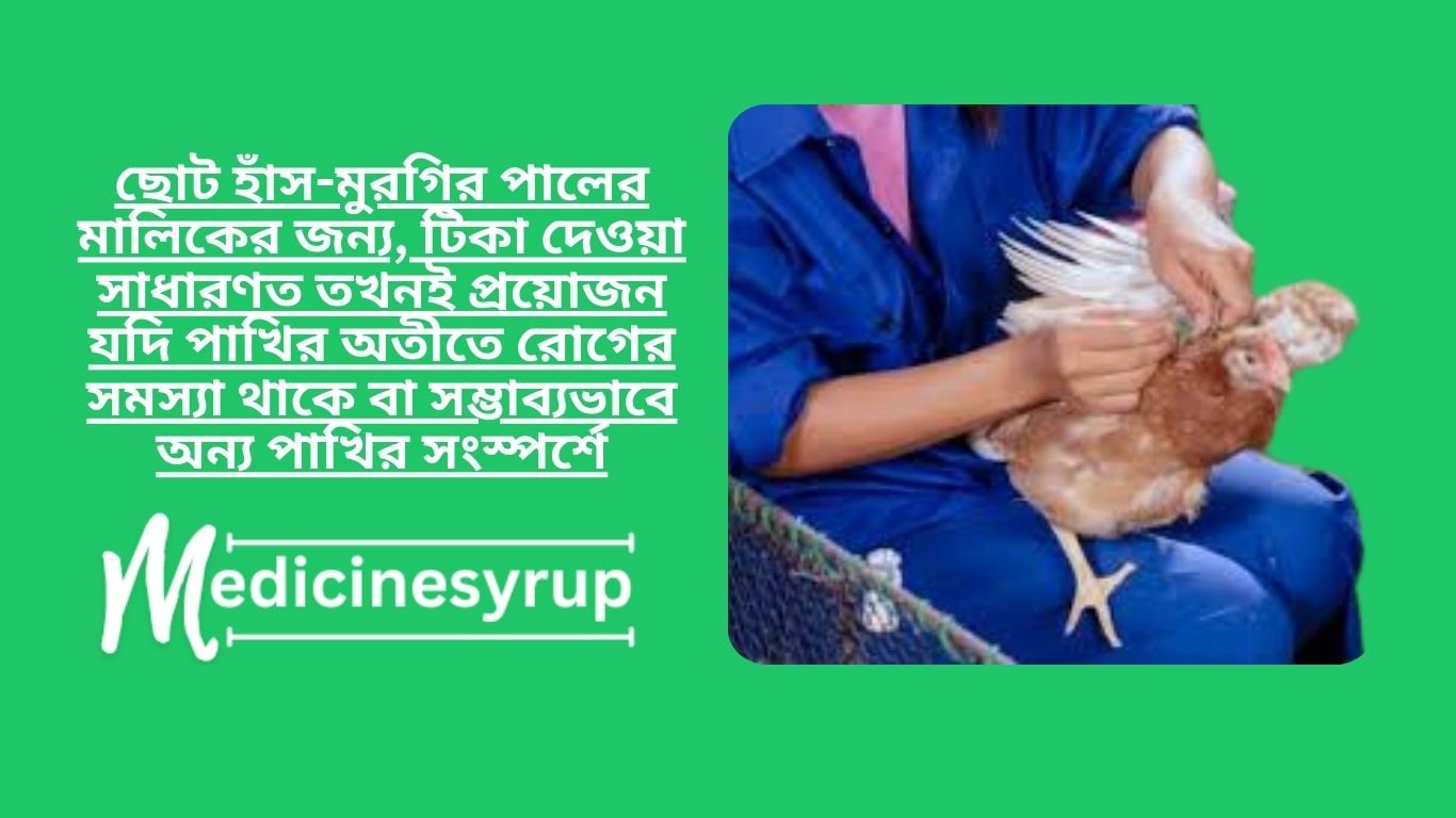 Rules for vaccinating domestic chickens ছোট হাঁস-মুরগির পালের মালিকের জন্য, টিকা দেওয়া সাধারণত তখনই প্রয়োজন