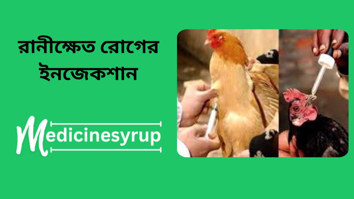 https://www.canva.com/design/DAGUBZIKuaU/b7A1z4M4XNz21h5EaWiUEw/edit?utm_content=DAGUBZIKuaU&utm_campaign=designshare&utm_medium=link2&utm_source=sharebutton