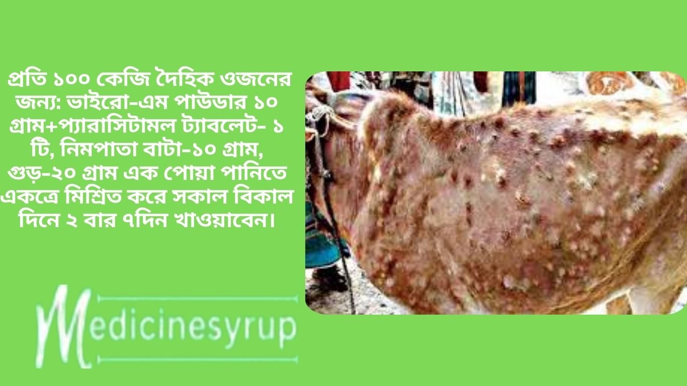 দেশে শিগগিরই গবাদিপশুর লাম্পি স্কিন ডিজিজের (এলএসডি) টিকা উৎপাদন শুরু হবে বলে জানিয়েছেন মৎস্য ও প্রাণিসম্পদমন্ত্রী শ ম রেজাউল করিম