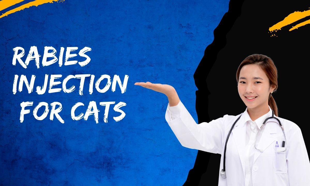 Rabies injection for cats