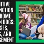 Cognitive Dysfunction Syndrome (CDS) in Dogs: Causes, Signs, and Management Cognitive Dysfunction Syndrome (CDS) in Dogs: Causes, Signs, and Management